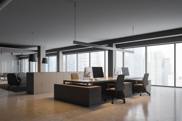 corporativo11